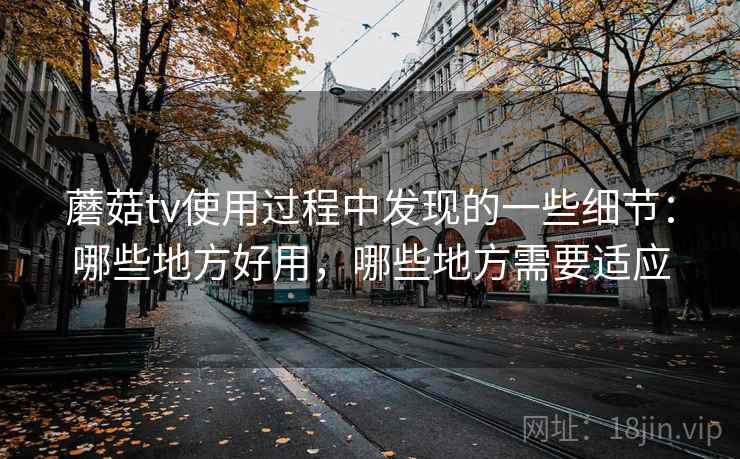 蘑菇tv使用过程中发现的一些细节:哪些地方好用,哪些地方需要适应