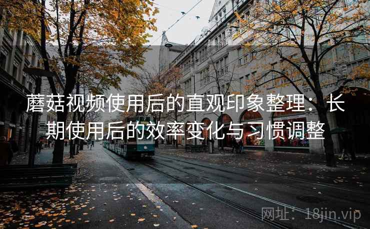 蘑菇视频使用后的直观印象整理：长期使用后的效率变化与习惯调整