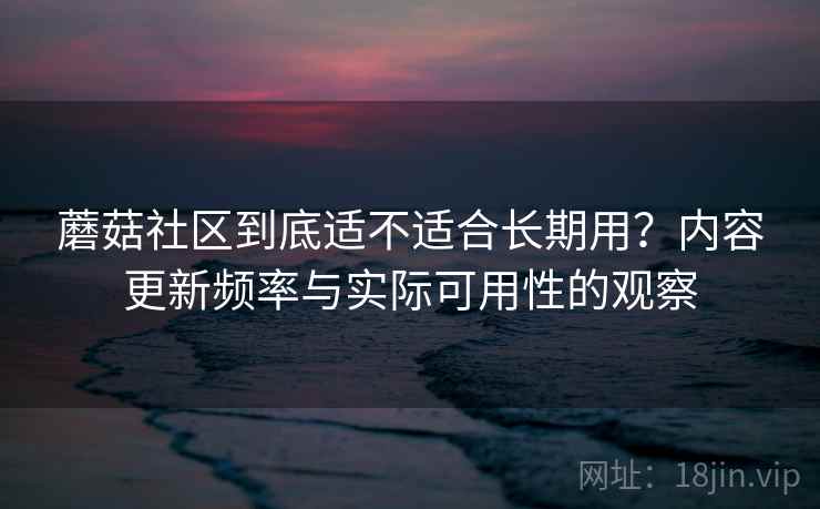 蘑菇社区到底适不适合长期用？内容更新频率与实际可用性的观察