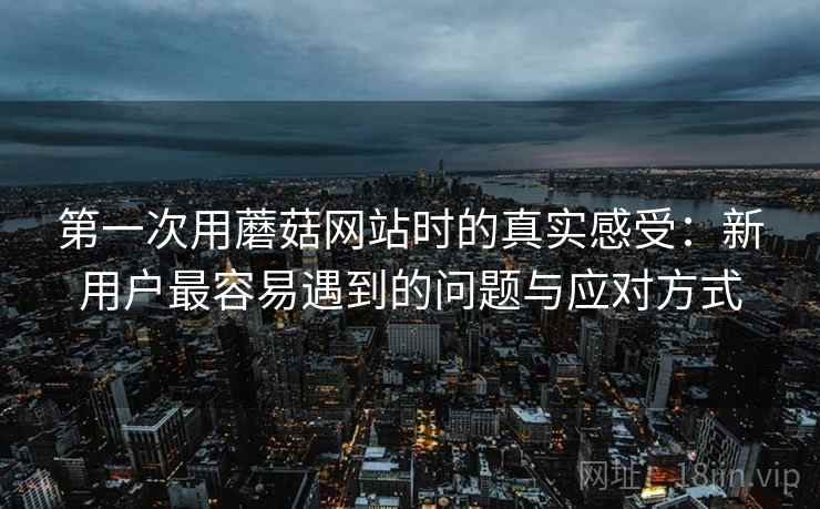 第一次用蘑菇网站时的真实感受：新用户最容易遇到的问题与应对方式