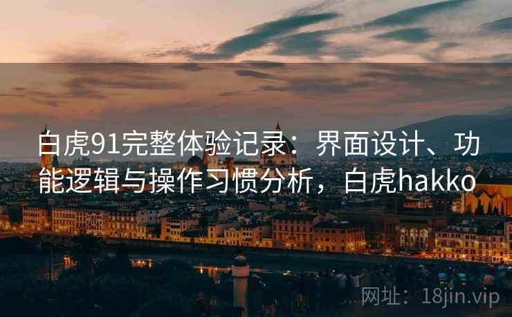 白虎91完整体验记录：界面设计、功能逻辑与操作习惯分析，白虎hakko