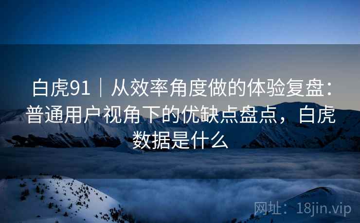 白虎91|从效率角度做的体验复盘:普通用户视角下的优缺点盘点,白虎数据是什么