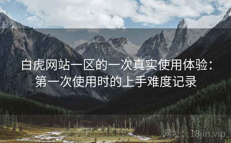 白虎网站一区的一次真实使用体验:第一次使用时的上手难度记录