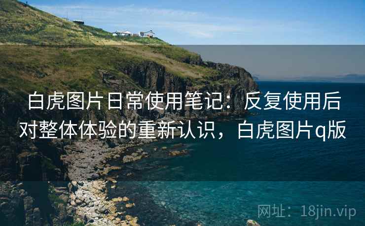 白虎图片日常使用笔记:反复使用后对整体体验的重新认识,白虎图片q版