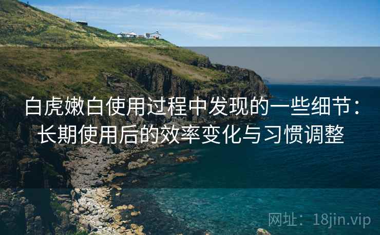 白虎嫩白使用过程中发现的一些细节:长期使用后的效率变化与习惯调整