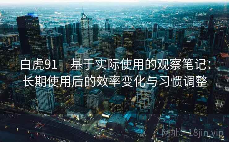 白虎91|基于实际使用的观察笔记:长期使用后的效率变化与习惯调整