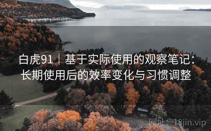 白虎91|基于实际使用的观察笔记:长期使用后的效率变化与习惯调整