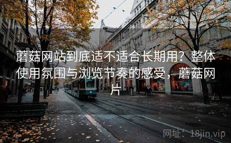 蘑菇网站到底适不适合长期用?整体使用氛围与浏览节奏的感受,蘑菇网片