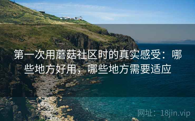 第一次用蘑菇社区时的真实感受:哪些地方好用,哪些地方需要适应