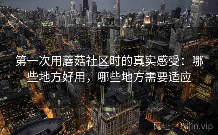 第一次用蘑菇社区时的真实感受:哪些地方好用,哪些地方需要适应