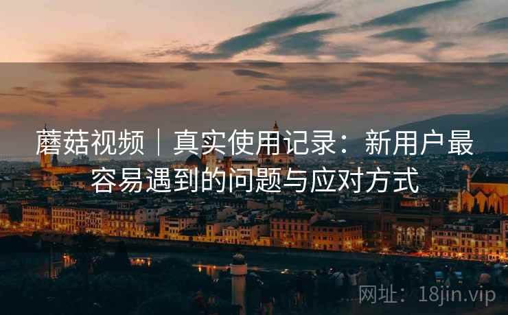蘑菇视频|真实使用记录:新用户最容易遇到的问题与应对方式