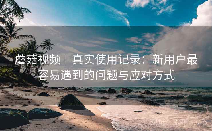 蘑菇视频|真实使用记录:新用户最容易遇到的问题与应对方式