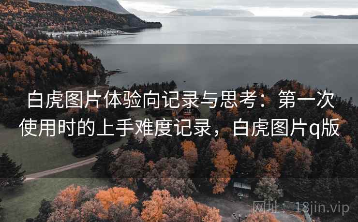 白虎图片体验向记录与思考：第一次使用时的上手难度记录，白虎图片q版