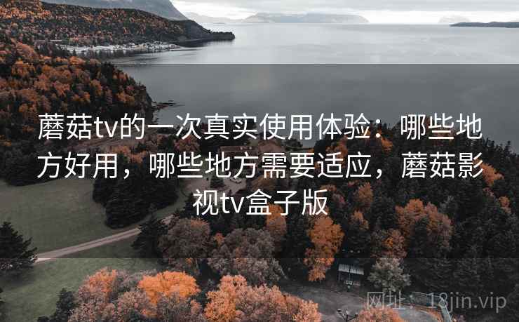 蘑菇tv的一次真实使用体验:哪些地方好用,哪些地方需要适应,蘑菇影视tv盒子版