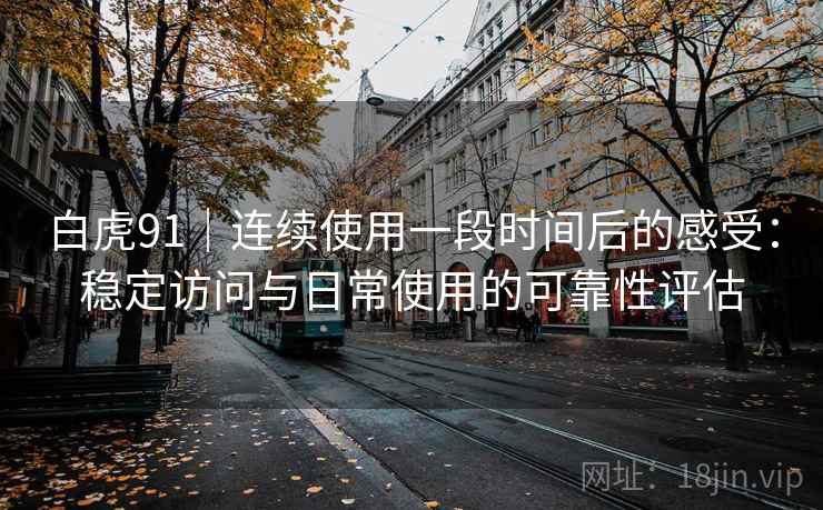白虎91|连续使用一段时间后的感受:稳定访问与日常使用的可靠性评估