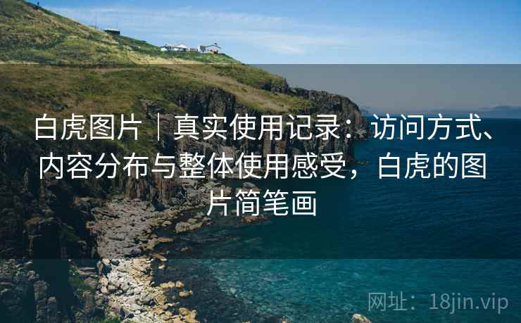 白虎图片|真实使用记录:访问方式、内容分布与整体使用感受,白虎的图片简笔画