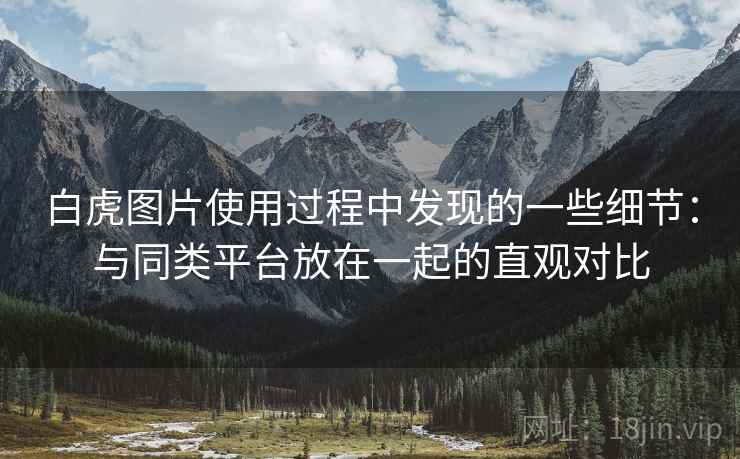 白虎图片使用过程中发现的一些细节：与同类平台放在一起的直观对比