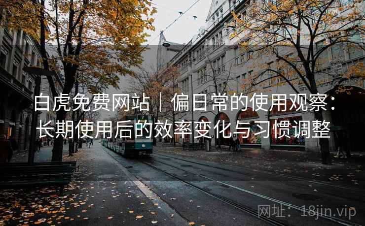 白虎免费网站｜偏日常的使用观察：长期使用后的效率变化与习惯调整