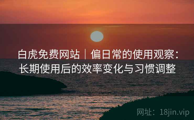 白虎免费网站｜偏日常的使用观察：长期使用后的效率变化与习惯调整